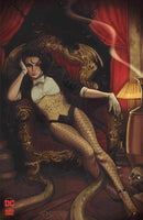 Zatanna Bring Down The House #4 (Of 5) Cover E 1 in 25 Joshua Sway Swaby Full Art Variant (Mature)