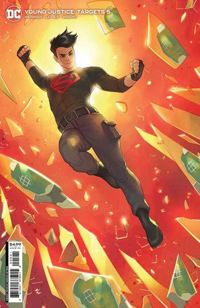 Young Justice Targets #5 (Of 6) Cover B Meghan Hetrick Card Stock Variant